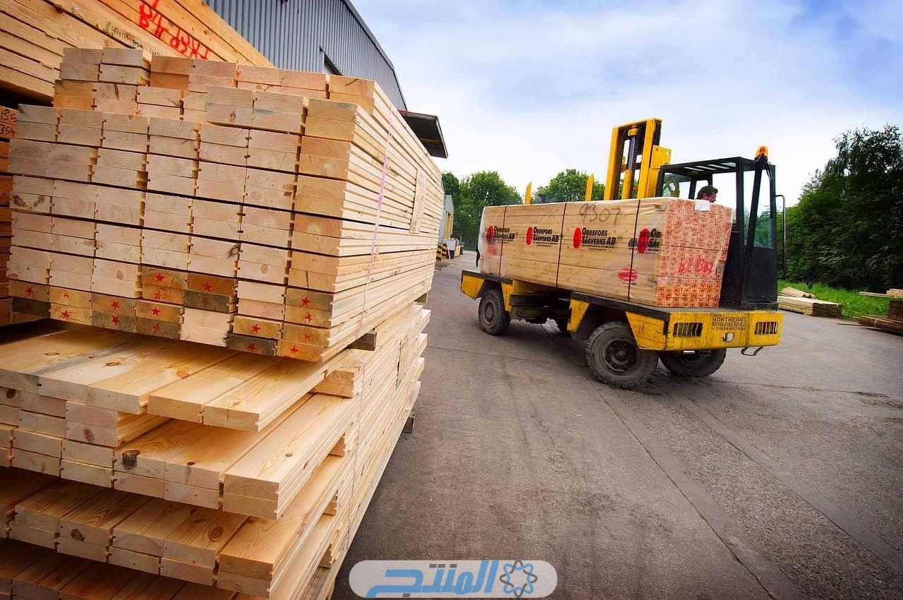 أكثر 8 دول منتجة للخشب في العالم