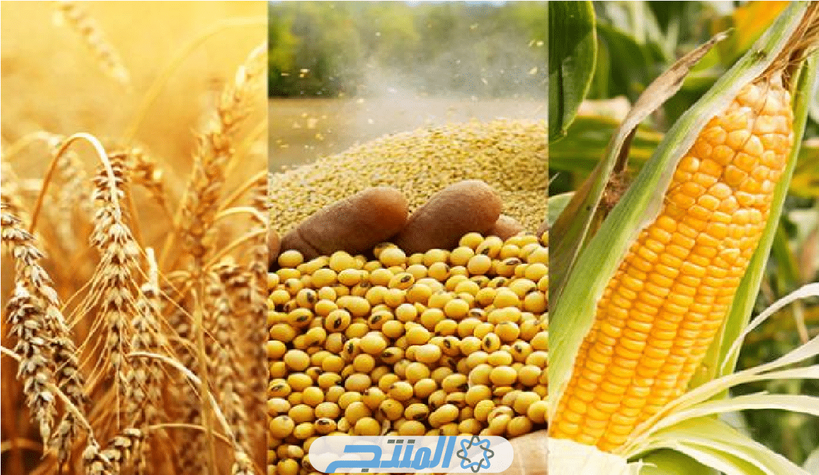 أكثر المنتجات الزراعية في مصر 2023
