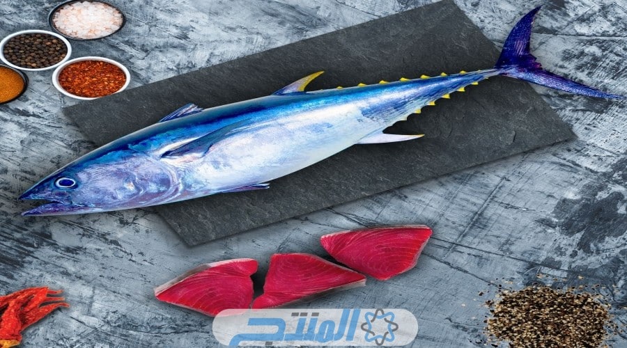 أفضل أنواع سمك التونة حول العالم