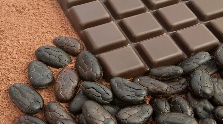 صناعة الشوكولاتة من حبوب الكاكاو