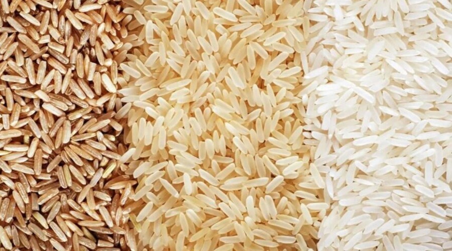 "الأرز