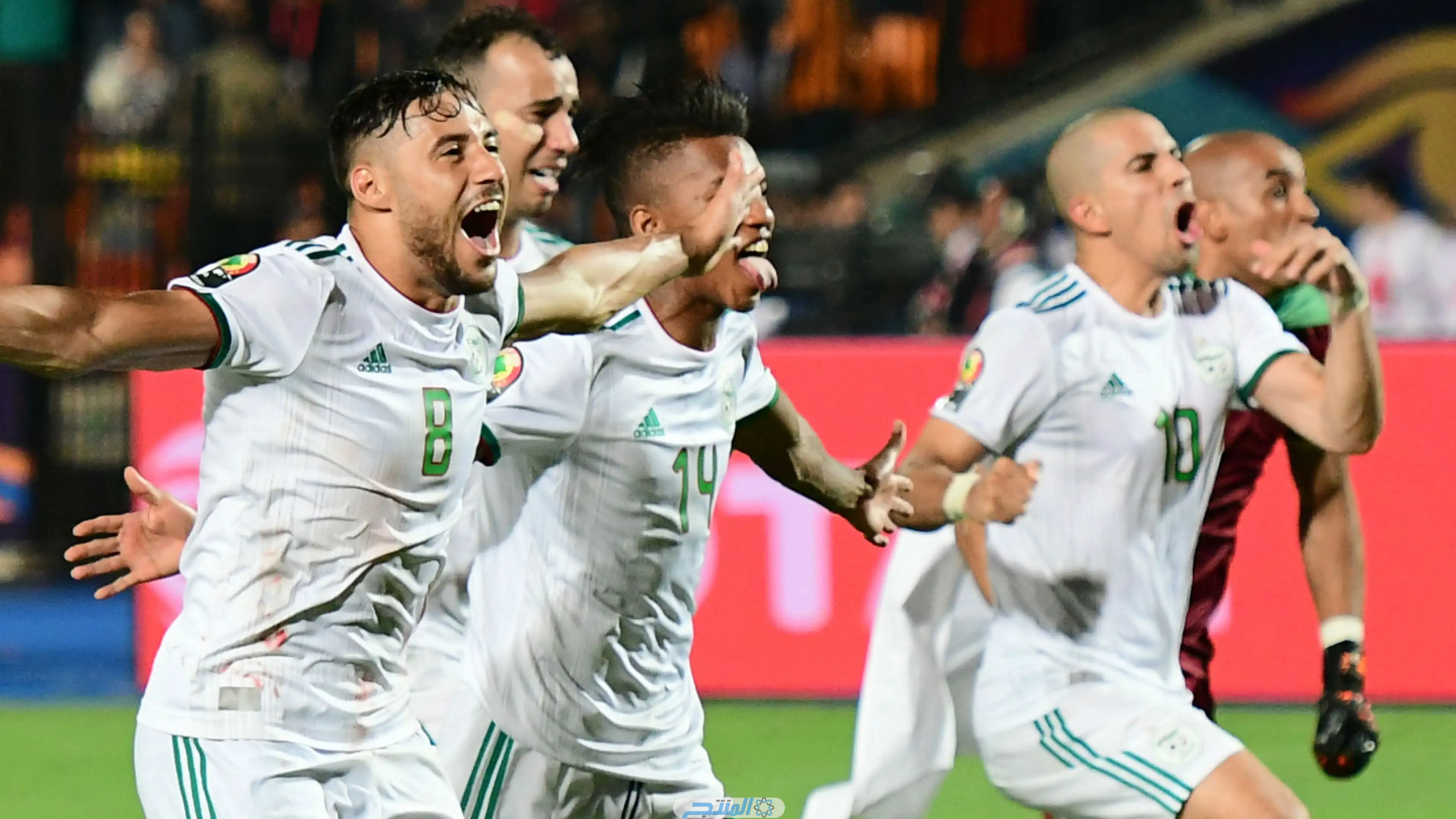 تشكيل المنتخب الجزائري الرسمي.. تشكيلة الجزائر ضد موزمبيق في تصفيات كأس العالم 2023