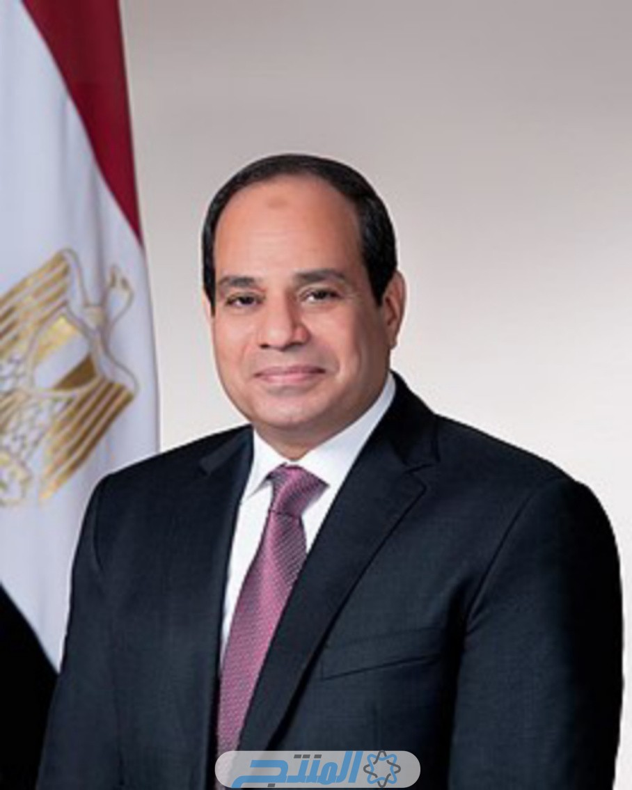 الإعلان عن رئيس مصر القادم 2024 