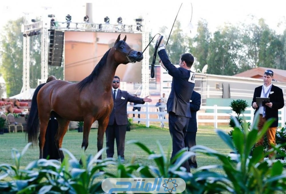 خطوات حجز تذاكر مهرجان الأمير سلطان بن عبد العزيز الدولي