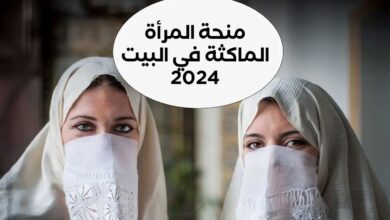 من هنا.. رابط التسجيل في منحة المرأة الماكثة في البيت 2024 بالجزائر عبر موقع الوكالة الوطنية للتشغيل anem.dz وشروط الحصول على المنحة