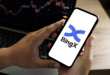 هل منصة Bingx آمنة