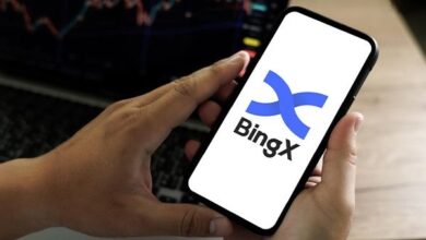 هل منصة Bingx آمنة